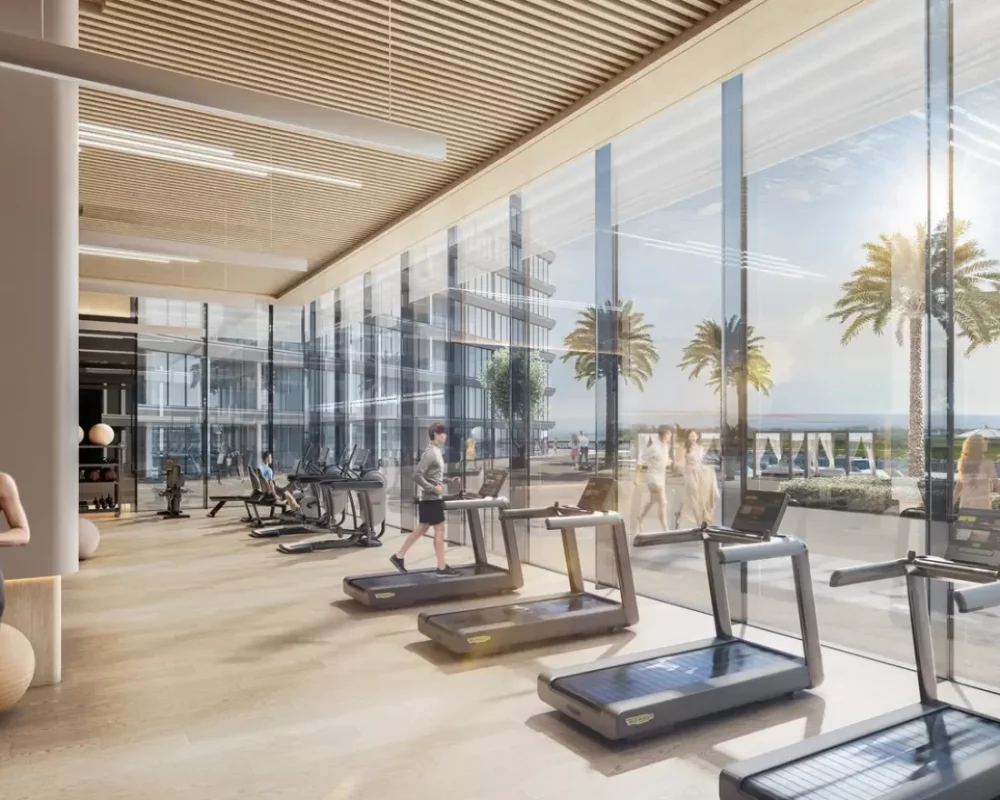 8084-qxyl4ajipxibupr3ukz0b6f8el2cwvblstj6b5u7f4