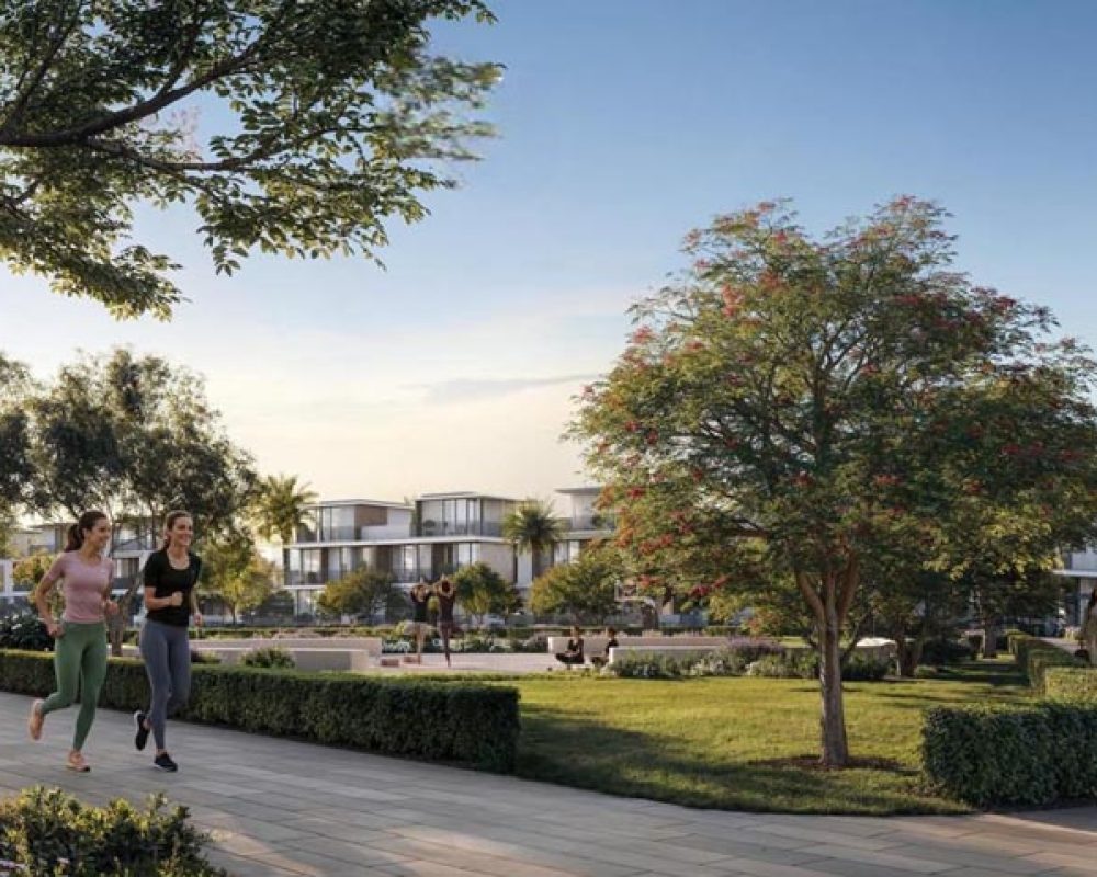 gallery16-1-r8ef85wzprsxbjr3ea0uk2oo2jzyshc54v8yg8pzr4